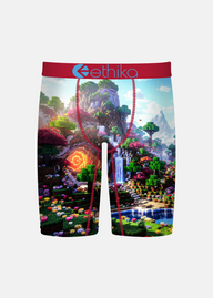 Boxer briefs with a colorful landscape design and Ethika branding on a white background