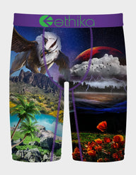 Ethika boxer briefs with a colorful design featuring nature elements and a purple waistband.
