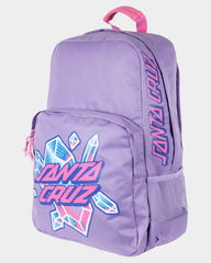 Purple backpack with 'Santa Cruz' branding on a white background