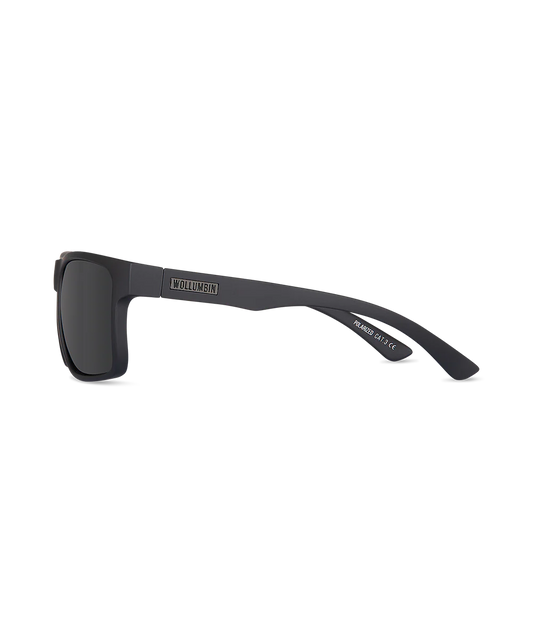 Black Sunglasses side view on a white background