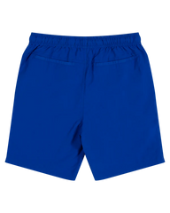 Blue shorts on a white background