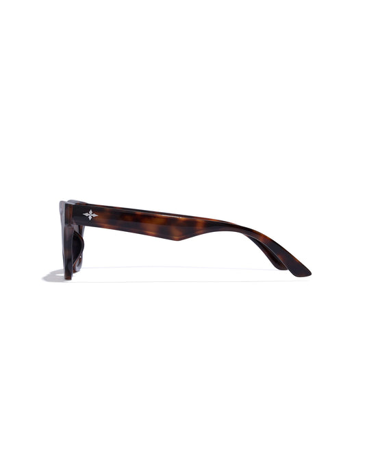 Sunglasses with tortoiseshell frame on a white background