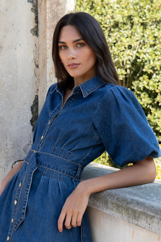 Among the Brave Sundown Puff Sleeve Dress