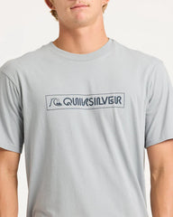Person wearing a gray Quiksilver t-shirt on a plain background