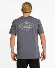Person wearing a gray Quiksilver t-shirt with a logo on the back against a white background