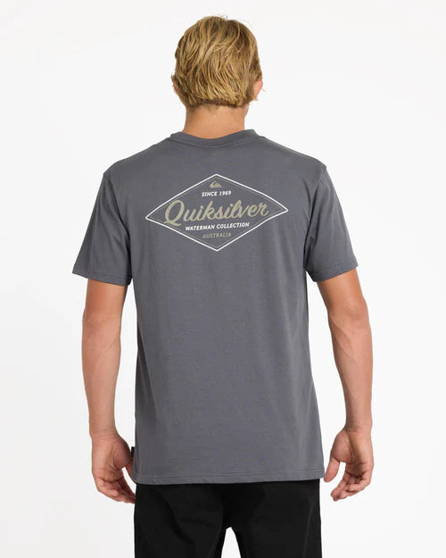 Person wearing a gray Quiksilver t-shirt with a logo on the back against a white background