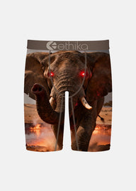boys underwear with elephant with red laser eyes and ethika logo on band