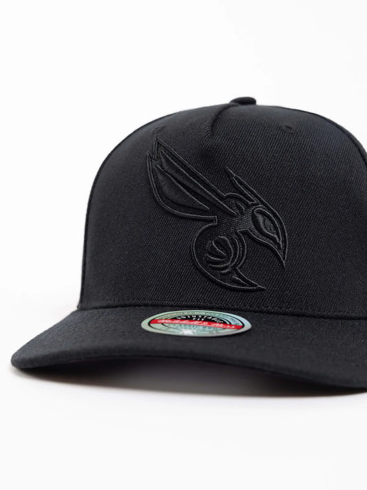 Mitchell & Ness TM Logo CL HRNT Cap